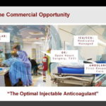 Realizing the Commercial Opportunity