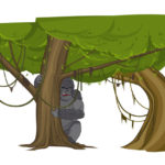 Gorilla hiding behind a tree